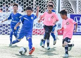 陈杰宪获最佳男运动员 12强棒球队成精英奖大赢家